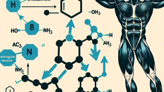 Die Wirkung von Dehydroepiandrosteron bei Muskelschwäche: Ein neuer Ansatz zur Stärkung der Muskulatur