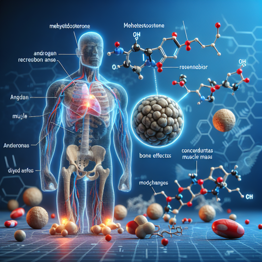 Training anpassen an die Wirkung von Methyltestosterone