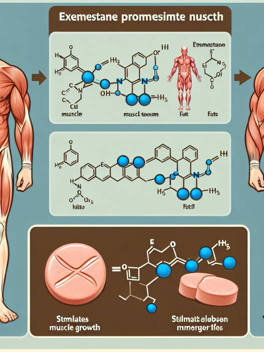 Wie Exemestan die Muskelmasse steigert und den Fettabbau fördert
